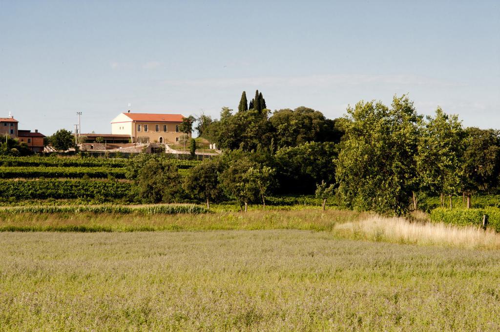 Agriturismo Panorama Salionze Exterior photo